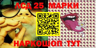 гидропоника Дубна
